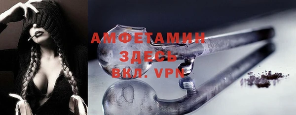 молекула духа Алексеевка
