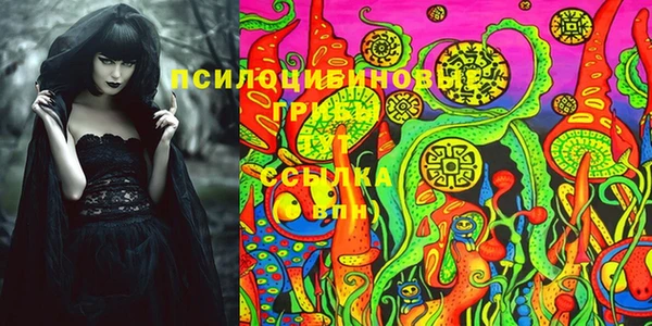 молекула духа Алексеевка