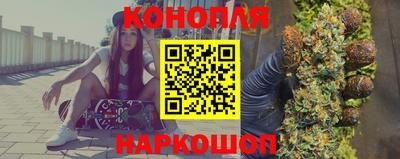 крисы Донецк
