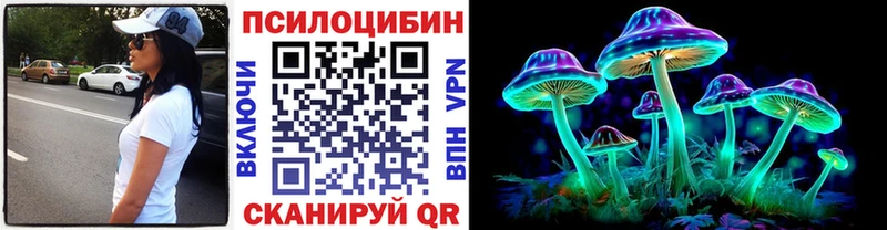 Псилоцибиновые грибы Cubensis  Минусинск 