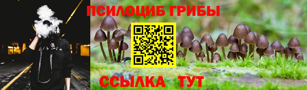Псилоцибиновые грибы Psilocybe  Галлюциногенные грибы мицелий  Вход с VPN  Минусинск 